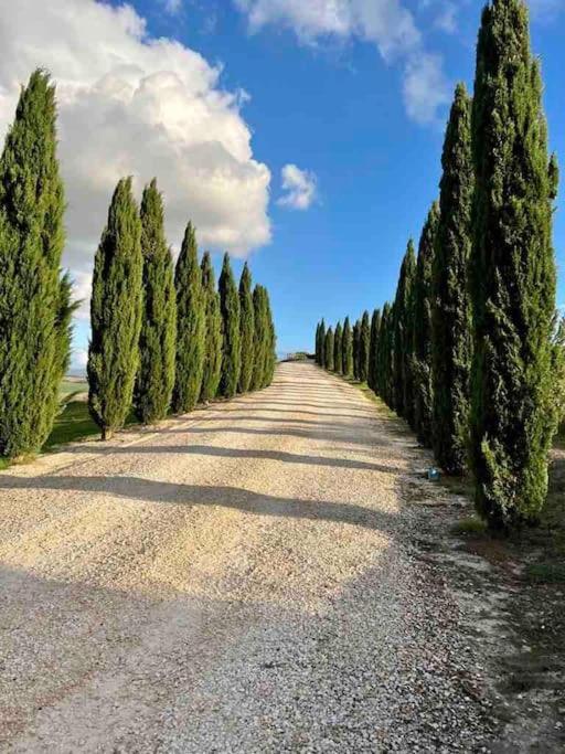 Toscana Amore Mio, Stunning View & 14Min Volterra Montecatini Val di Cecina Ngoại thất bức ảnh