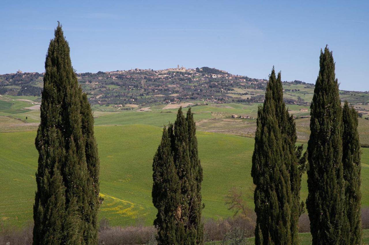 Toscana Amore Mio, Stunning View & 14Min Volterra Montecatini Val di Cecina Ngoại thất bức ảnh